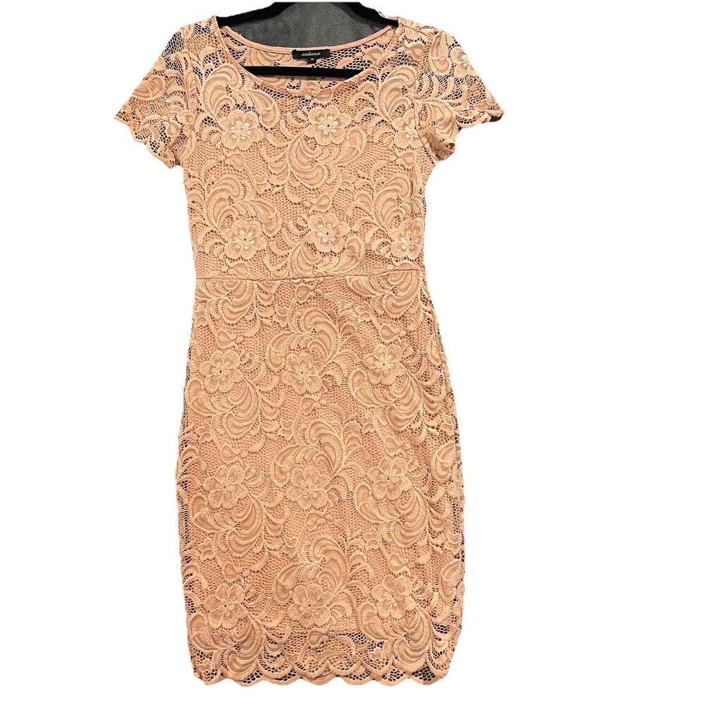 Ambiance Dress M Blush Pink Floral Lace Feminine Cottagecore Fairycore Lined